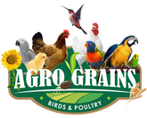 agrograins.co.za
